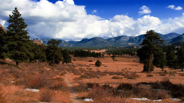Mountain field dirtpath forest sky free wallpaper for desktop - medium preview image