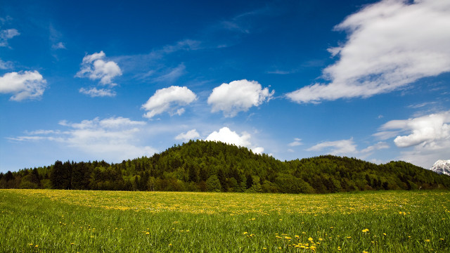Mountain field clouds yellowflowers landscape free wallpaper for desktop - medium preview image