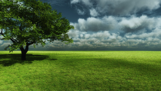 Tree field cloudy sky green #2 free wallpaper for desktop - medium preview image