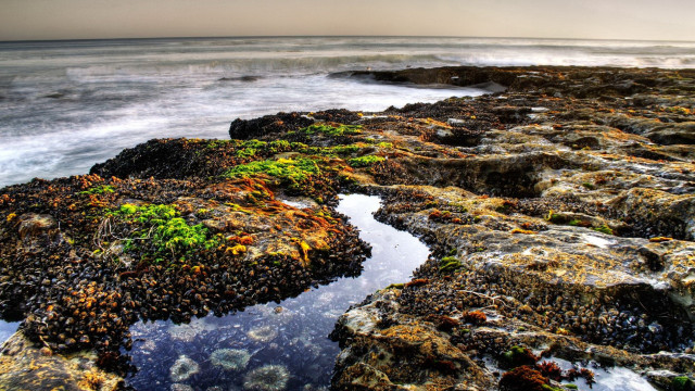Rocky shore moss urban sunset free wallpaper for desktop - medium preview image