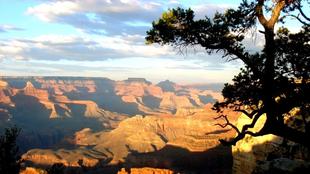 Canyon tree cloudy sky autumn free wallpaper for desktop - medium preview image