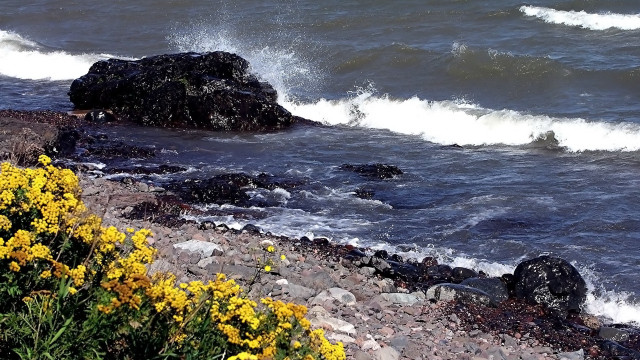 Bird rock water waves stormy free wallpaper for desktop - medium preview image