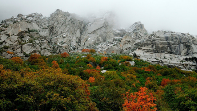 Mountain forest campfire autumn maple free wallpaper for desktop - medium preview image