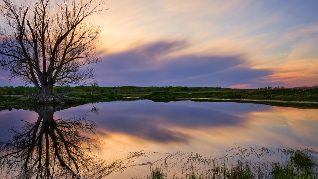 Tree lake reflection sunset autumn free wallpaper for desktop - medium preview image