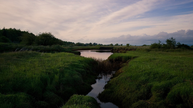 River forest hillside sunset nature free wallpaper for desktop - medium preview image