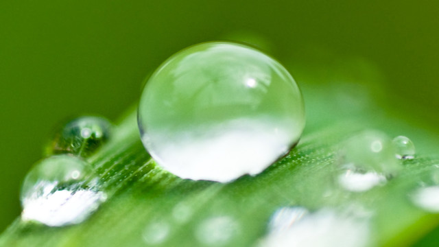 Leaf water droplets macro green free wallpaper for desktop - medium preview image