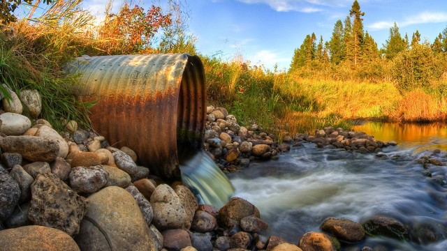 Lush forest stream rocks autumn free wallpaper for desktop - medium preview image