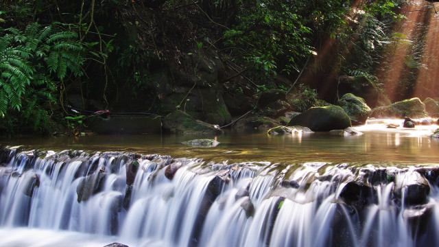 Waterfall stream forest sunlight moss free wallpaper for desktop - medium preview image