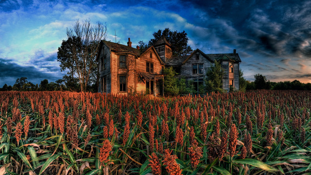 House field clouds gothic matte free wallpaper for desktop - medium preview image