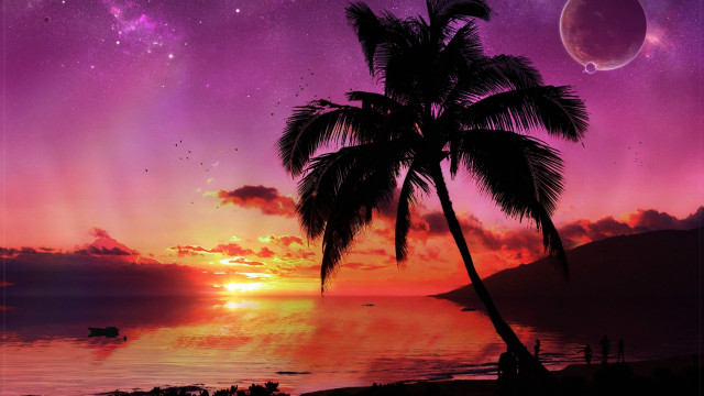 Palm tree silhouette sunset ocean #5 free wallpaper for desktop - medium preview image