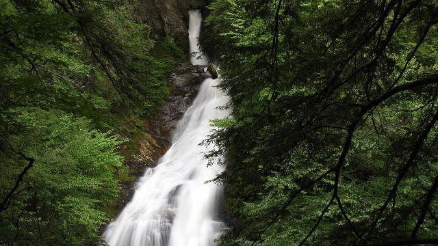 Waterfall forest person tiltshift nature free wallpaper for desktop - medium preview image