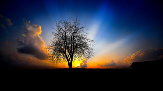 Tree sunset house clouds fields free wallpaper for desktop - medium preview image