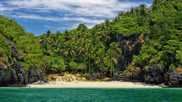 Beach white sand palm trees #2 free wallpaper for desktop - medium preview image