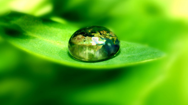 Water drop green leaf macro free wallpaper for desktop - medium preview image