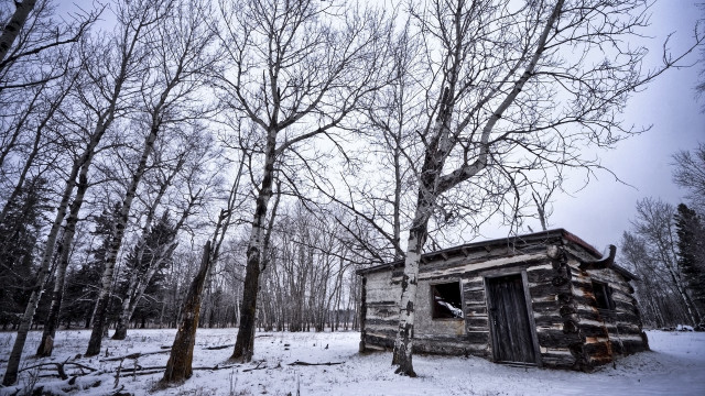 Snowy woods cabin autumn nature free wallpaper for desktop - medium preview image