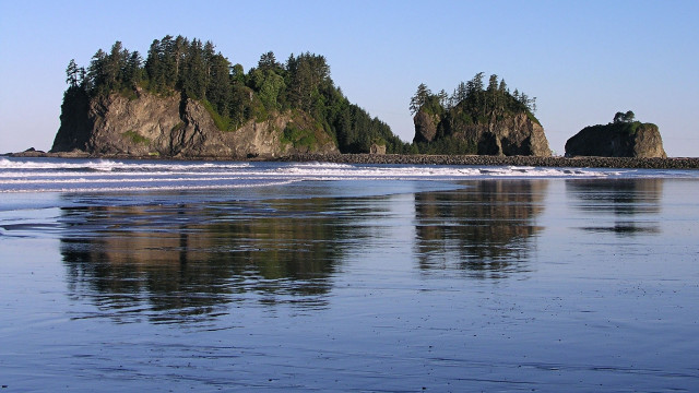 Beach rocks trees water blue #3 free wallpaper for desktop - medium preview image