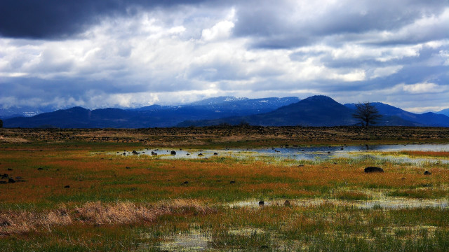 Field pond mountains clouds grass free wallpaper for desktop - medium preview image