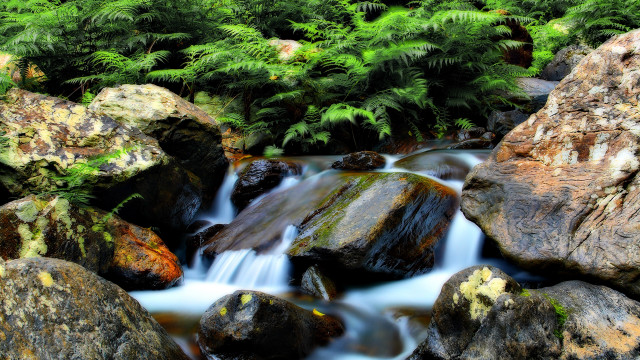 Forest stream waterfall moss rocks free wallpaper for desktop - medium preview image