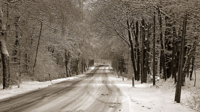 Snowy road trees winter blackandwhite free wallpaper for desktop - medium preview image