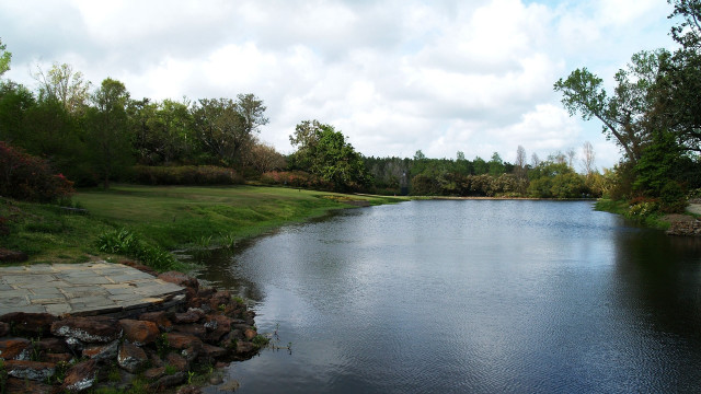 Lake forest bush park mountain free wallpaper for desktop - medium preview image