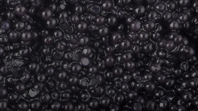 Blackberries water macro aesthetic monochrome free wallpaper for desktop - medium preview image