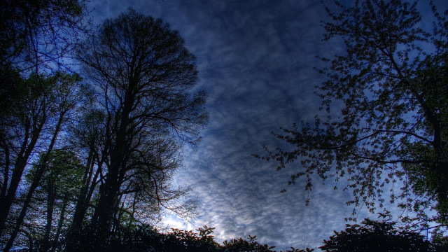 Blue sky clouds trees autumn free wallpaper for desktop - medium preview image