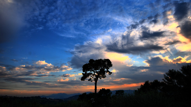 Silhouetted tree cloudy sunset cityscape free wallpaper for desktop - medium preview image