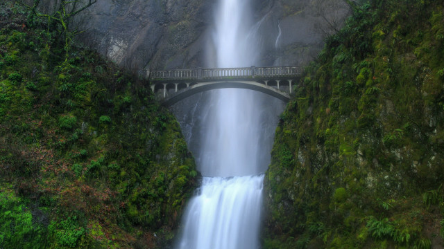 Bridge waterfall forest scenery nature free wallpaper for desktop - medium preview image