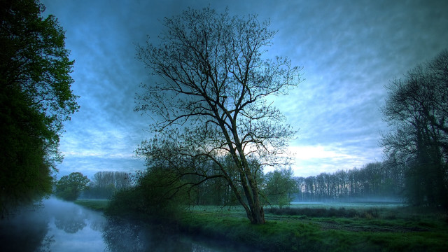 Tree river foggy dusk nature free wallpaper for desktop - medium preview image