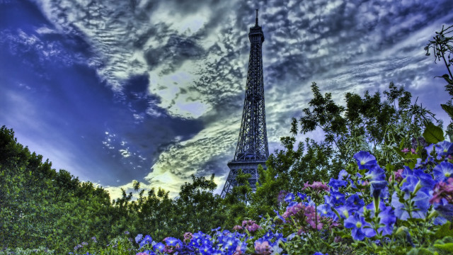 Eiffel tower paris blue flowers free wallpaper for desktop - medium preview image