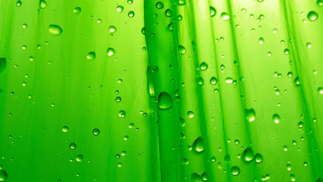 Green water drop bubble macro free wallpaper for desktop - medium preview image