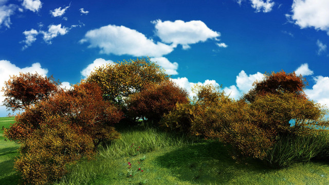 Grassy field trees clouds blue free wallpaper for desktop - medium preview image