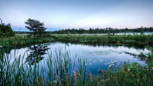 Pond trees grass sky bench free wallpaper for desktop - medium preview image
