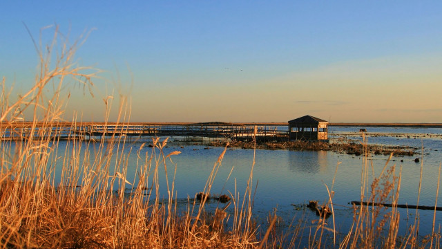 Small hut lake trees fireworks free wallpaper for desktop - medium preview image