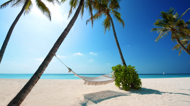 Hammock palm trees beach sailboat free wallpaper for desktop - medium preview image