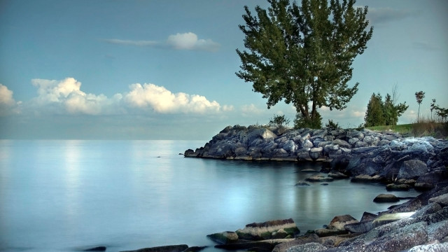 Tree shore ocean clouds sky free wallpaper for desktop - medium preview image
