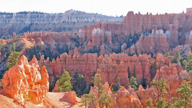 Canyon forest rocks autumn leaves free wallpaper for desktop - medium preview image