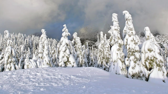 Snowy landscape trees clouds blue free wallpaper for desktop - medium preview image