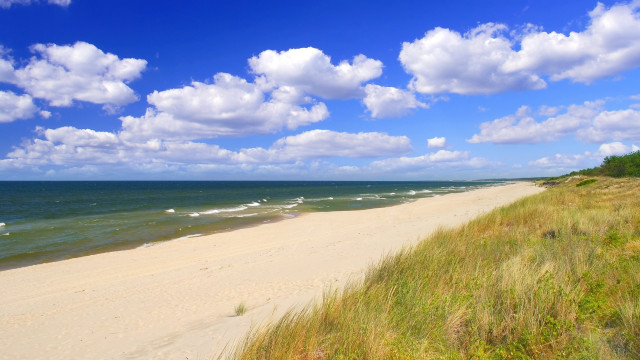 Sandy beach grassy shoreline cloudy free wallpaper for desktop - medium preview image