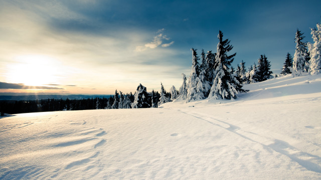 Skiing snowy mountains sunset trees free wallpaper for desktop - medium preview image