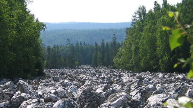 Rocky road forest mountain nature free wallpaper for desktop - medium preview image