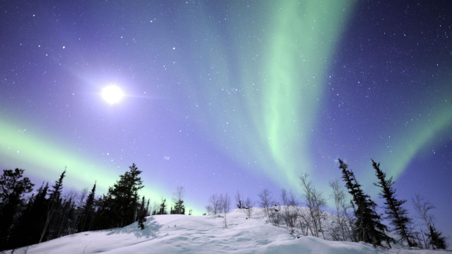 Bright green aurora borealis snowy free wallpaper for desktop - medium preview image