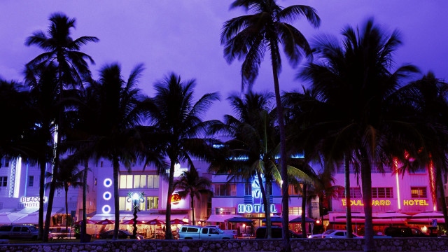Palm trees building night purple free wallpaper for desktop - medium preview image