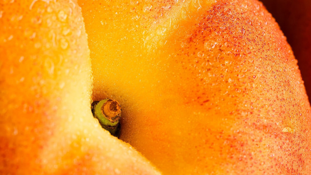 Yellow apple water droplets macro free wallpaper for desktop - medium preview image