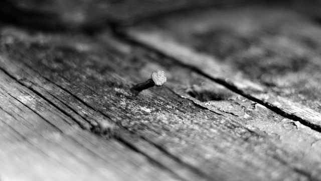 Small wooden structure macro cloudy free wallpaper for desktop - medium preview image