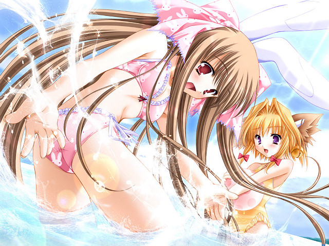 Anime girls water bikini rabbit free wallpaper for desktop - medium preview image