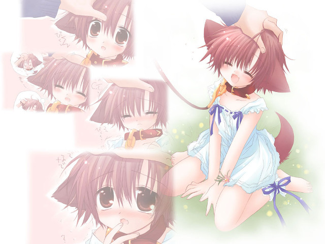 Girl dress sitting anime ears free wallpaper for desktop - medium preview image