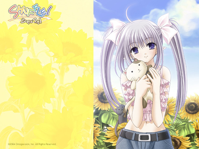 Girl stuffedanimal sunflower field outdoors free wallpaper for desktop - medium preview image