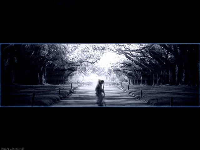 Dark street forest nature portrait free wallpaper for desktop - medium preview image