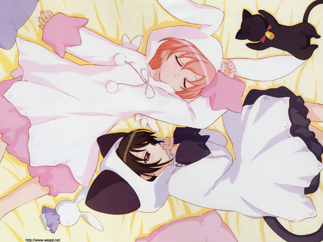 Remodernism sleeping cats bunny hoodie free wallpaper for desktop - medium preview image